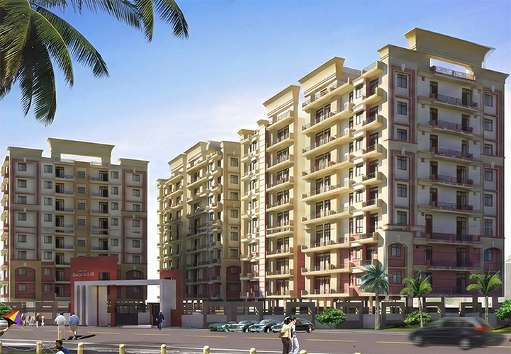 Plot and layout view